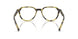 4029L0 - Green - Olive Gradient