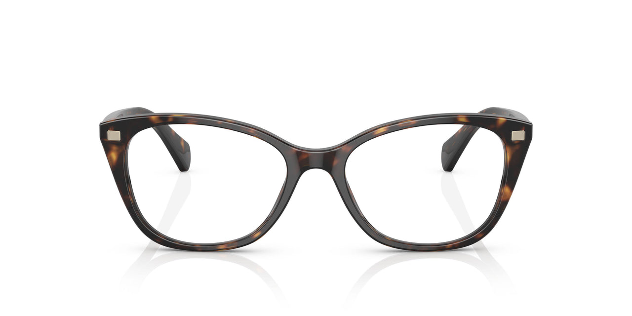 5003 - Tortoise