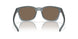 901816 - Black - Prizm Rose Gold Polarized