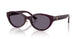 50751A - Violet - Violet