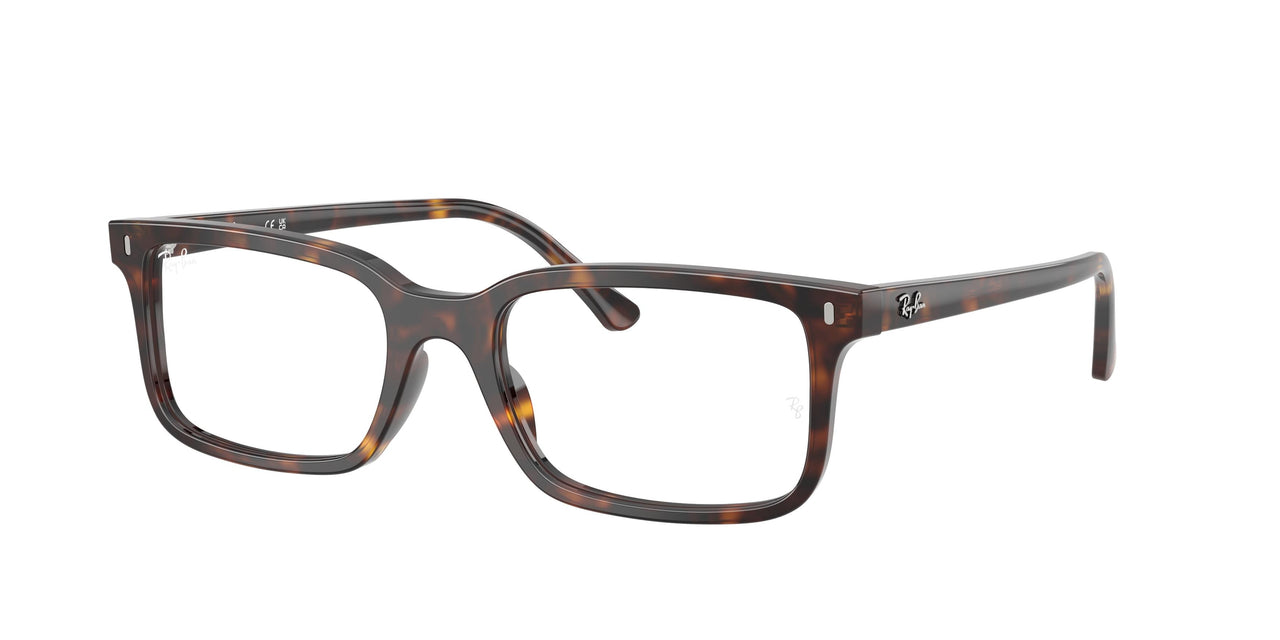 Ray-Ban 5445F Eyeglasses