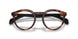 5039 - Tortoise