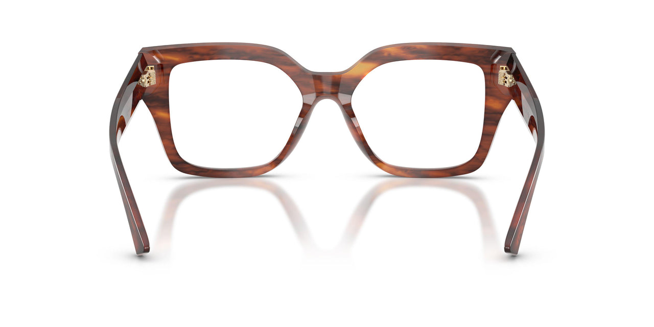 5112 - Tortoise