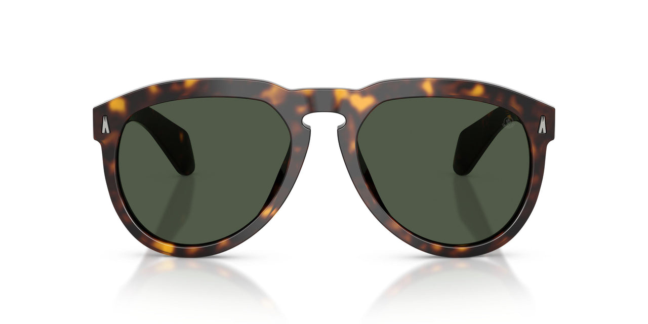 30029A - Tortoise - Dark Green Polar