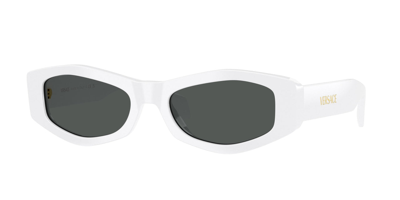 Versace 4487 Sunglasses