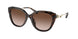 512013 - Havana - Brown Gradient