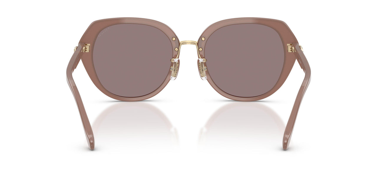 54957N - Brown - Purple Solid