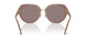 54957N - Brown - Purple Solid