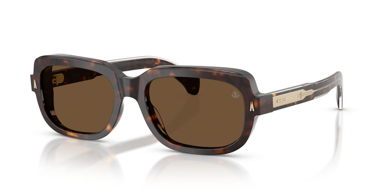 300273 - Tortoise - Brown Solid