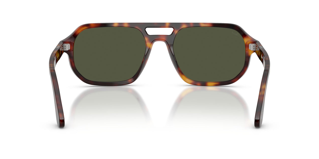 24/31 - Tortoise - Green