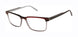 Ted Baker TXL012 Eyeglasses