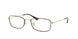 3177 - Tortoise - Clear