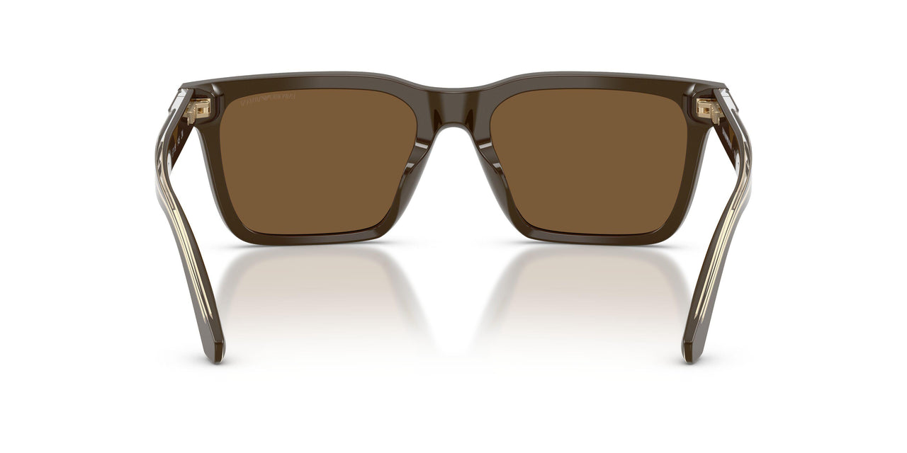 630773 - Brown - Brown