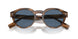 409680 - Brown - Dark Blue