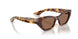 100773 - Tortoise - Brown