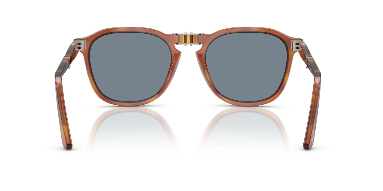 96/56 - Brown - Blue