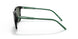 27539A - Black - Dark Green Polar