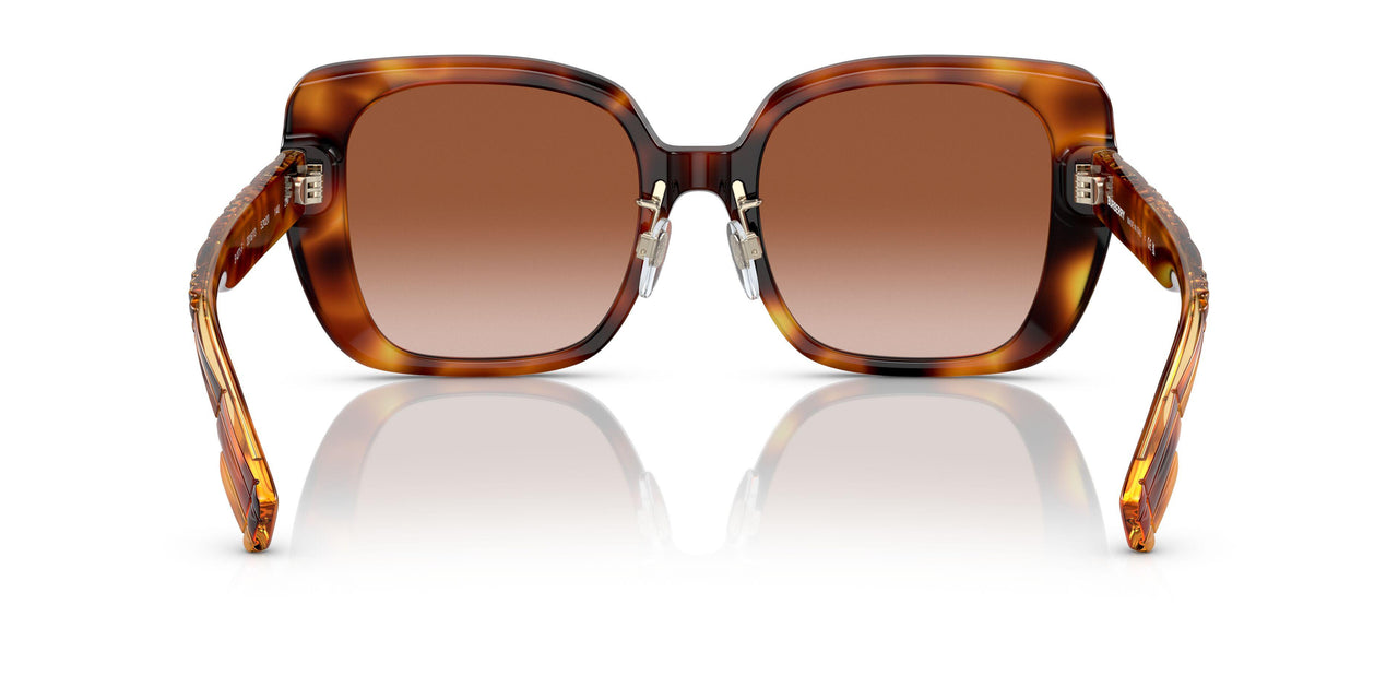 331613 - Havana - Brown Gradient