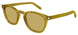 053 - Green - Brown