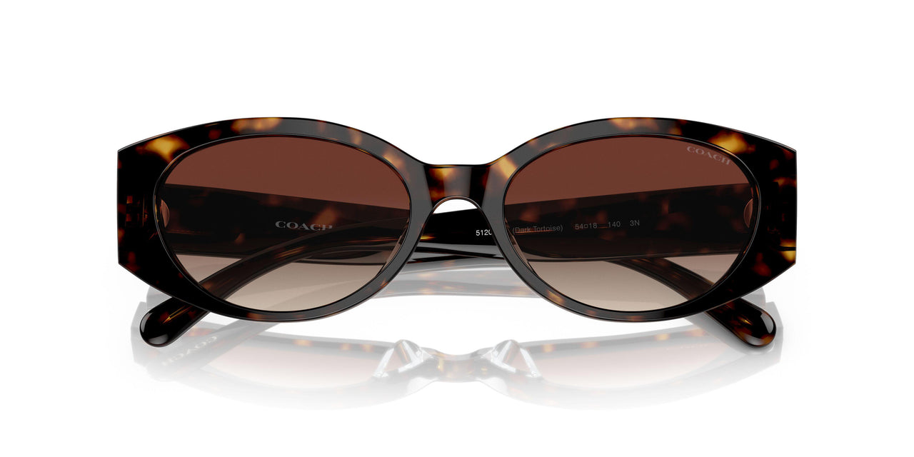 512013 - Havana - Dark Brown Gradient
