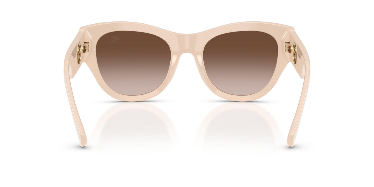422313 - Pink - Brown Gradient