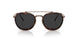 801648 - Brown - Polar Black + Ar