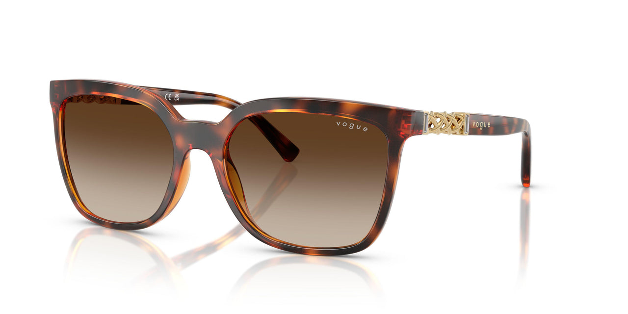 W65613 - Brown - Gradient Brown