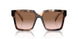 07R0A6 - Tortoise - Brown Gradient