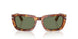 106/GJ - Tortoise - Transitions 8 Green