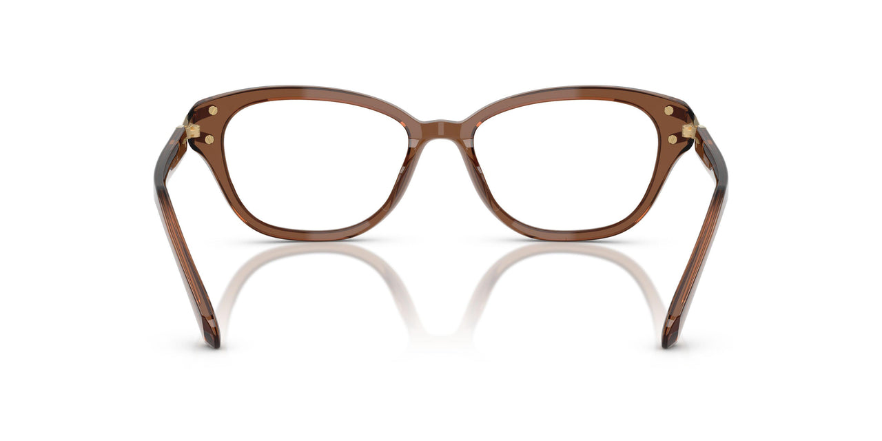1067 - Brown