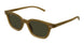 003 - Brown - Green