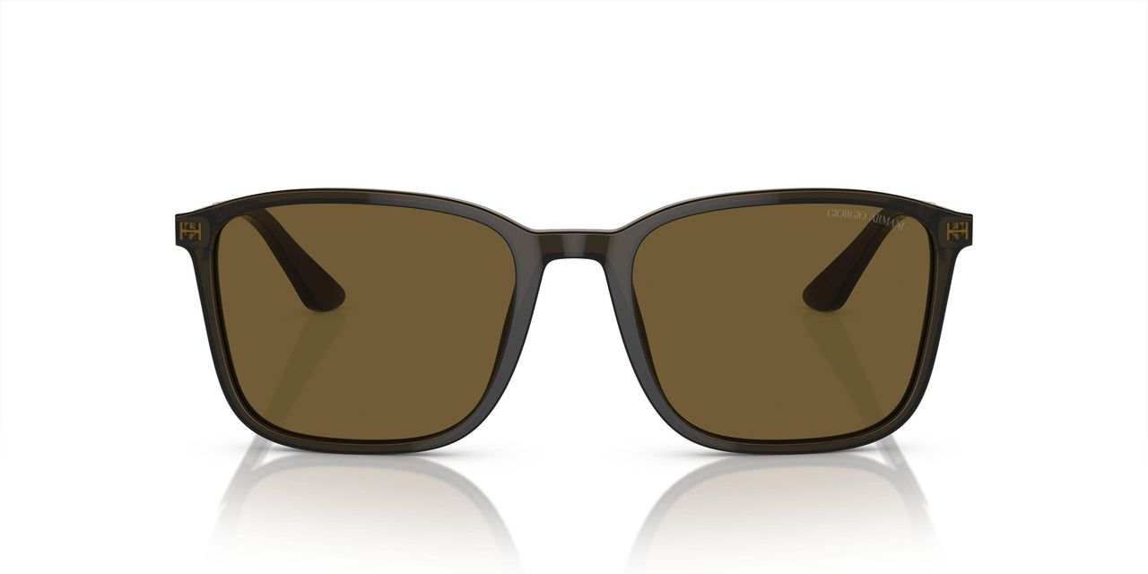 503073 - Green - Dark Brown