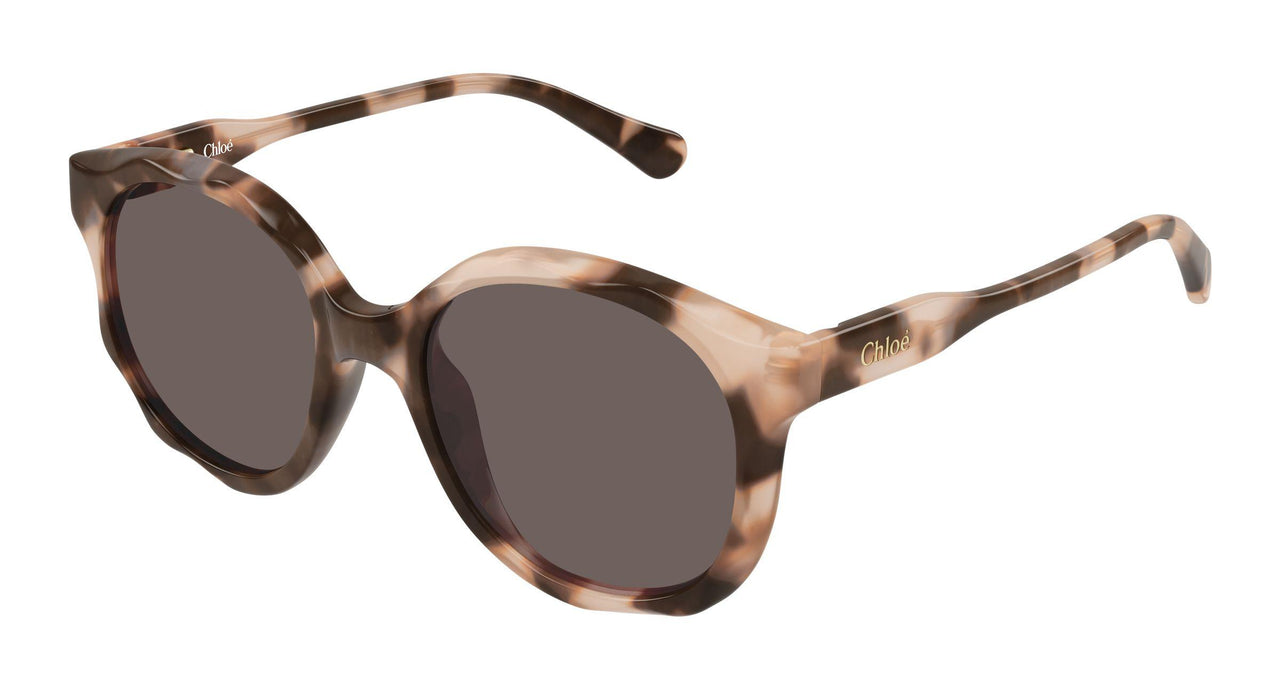 006 - Havana - Brown