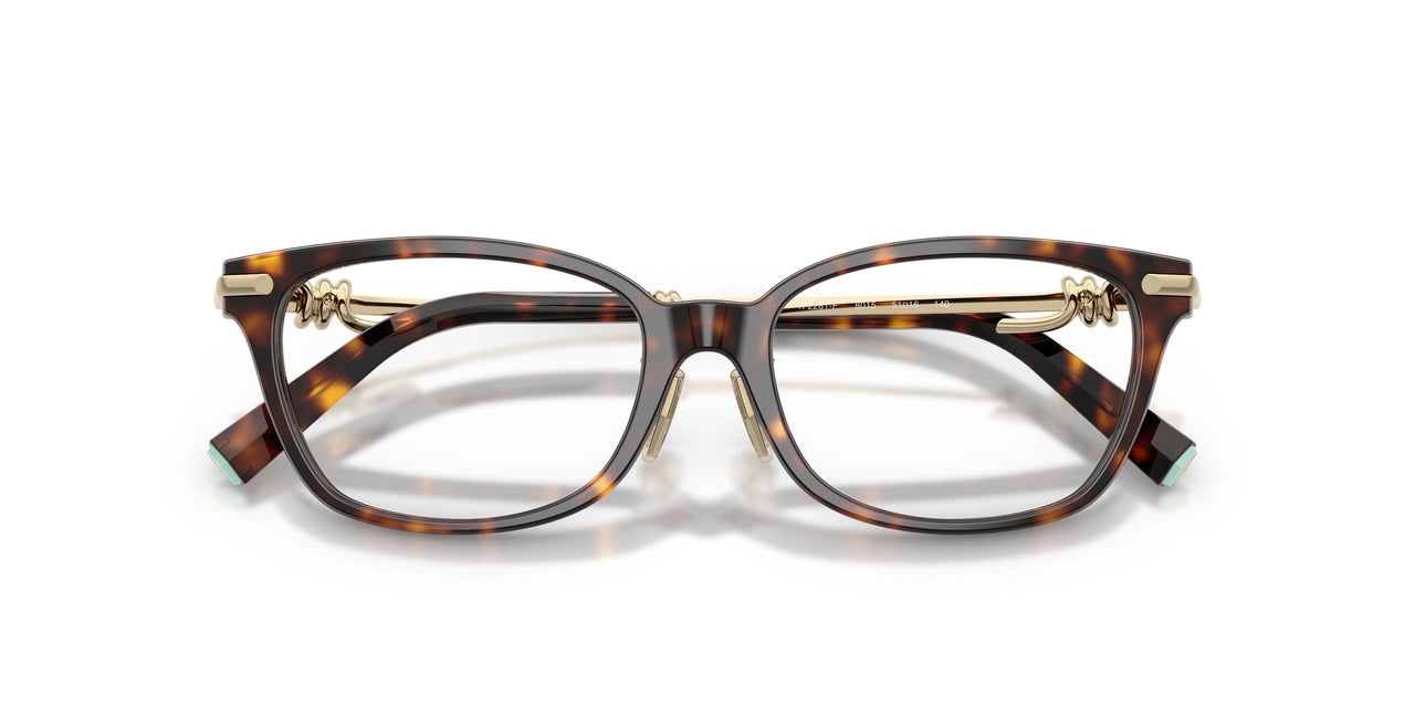 8015 - Tortoise