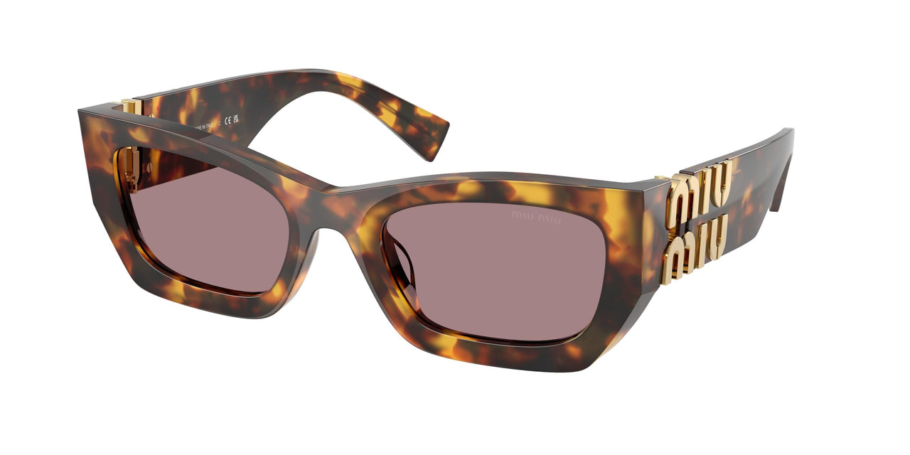 14L20I - Tortoise - Light Purple Brown