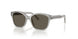 638693 - Grey - Dark Brown