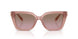 583914 - Pink - Brown Rose Gradient