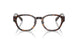 2003 - Tortoise