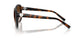 80153B - Tortoise - Brown Gradient