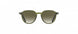 5630 - DEEP NATURE - Olive Green Gradient