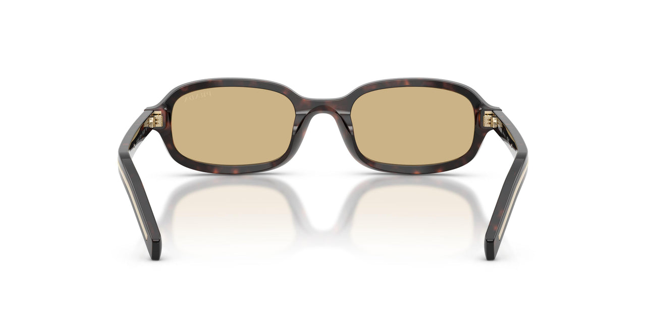 17N70R - Tortoise - Light Brown