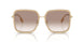 134913 - Brown - Brown Gradient