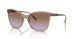 294068 - Brown - Violet Gradient Brown