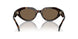 328873 - Tortoise - Brown Solid