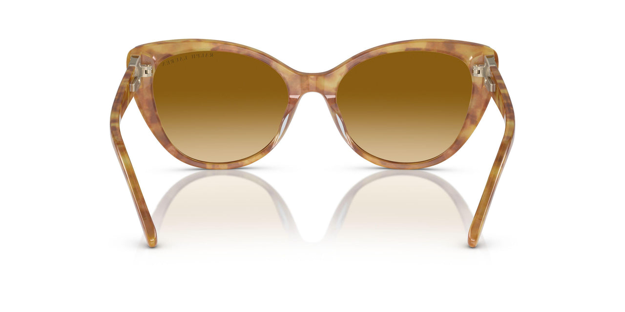 60832L - Tortoise - Gradient Yellow