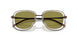 1040/2 - Brown - Green