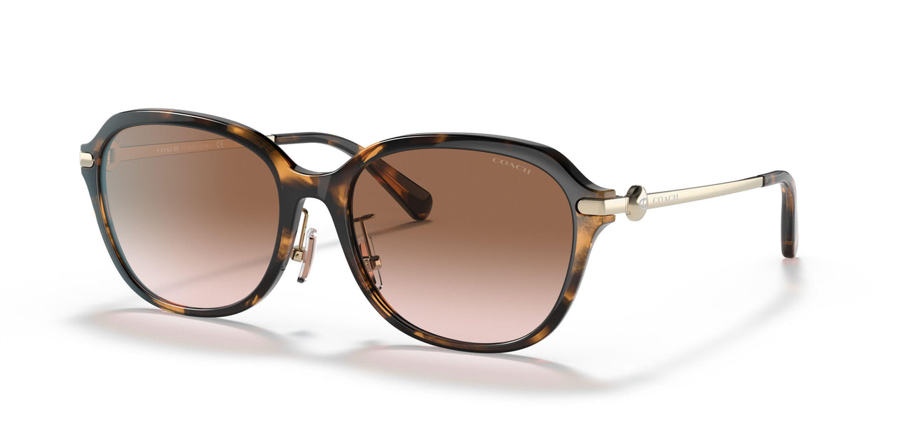 512013 - Tortoise - Brown Gradient
