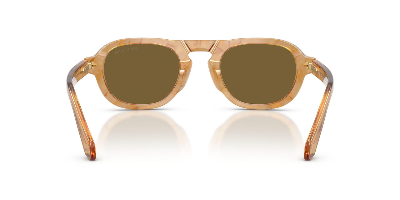 630073 - Tortoise - Dark Brown