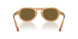 630073 - Tortoise - Dark Brown