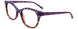 80 - Purple & Red Tortoise